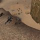 Some pictures about the PvE Event to save Military